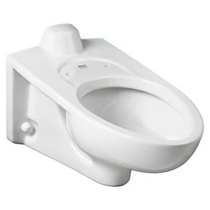 Flash Sale 😉 American Standard Afwall® Millennium™ FloWise® Elongated Toilet Bowl in White 👏