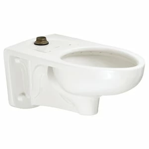 Coupon ⌛ American Standard Afwall® Millennium™ FloWise® Elongated Toilet Bowl in White 😉
