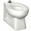 Best reviews of ✨ American Standard Madera™ FloWise® Elongated Toilet Bowl in White ❤️