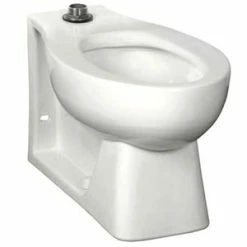Best reviews of ✨ American Standard Madera™ FloWise® Elongated Toilet Bowl in White ❤️