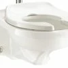 Best reviews of ❤️ American Standard Afwall® FloWise® Elongated Toilet Bowl in White 🌟