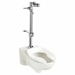 New ⭐ American Standard Bedpan 1.6 gpf Manual Flush Valve 🧨