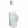 Buy ⭐ American Standard Decorum® Wash Out Urinal in White ✨