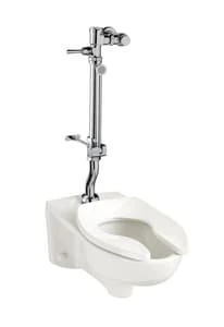 Cheap ❤️ American Standard Bedpan 1.28 gpf Manual Flush Valve 🎁