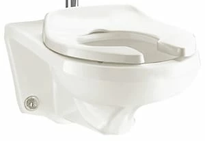 Cheapest 😀 American Standard Afwall® FloWise® Elongated Wall-Mount Toilet in White 🤩