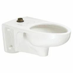 Best Sale 🛒 American Standard Afwall® Millennium™ FloWise® Elongated Wall Mount Toilet with EverClean Surface in White ✔️