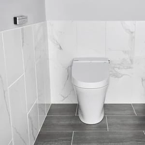 Discount 🎉 American Standard Advanced Clean® Elongated Closed Front with Cover Bidet in Alabaster White ⭐ - Image 2